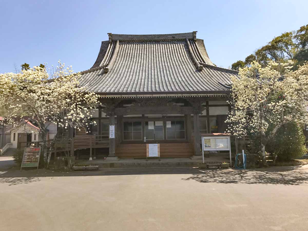 白い花の咲く西方寺本堂の正面